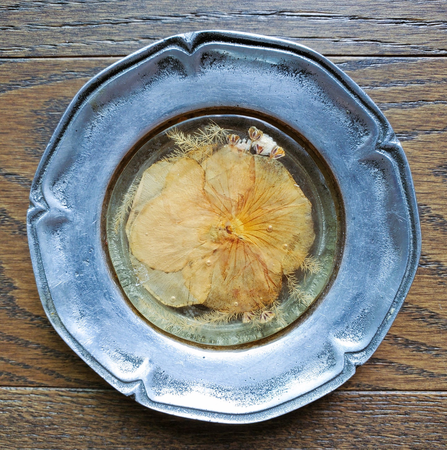 Vintage Pressed Flowers In Lucite Or Acrylic And Metal Coasters Set Of Two