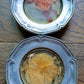 Vintage Pressed Flowers In Lucite Or Acrylic And Metal Coasters Set Of Two