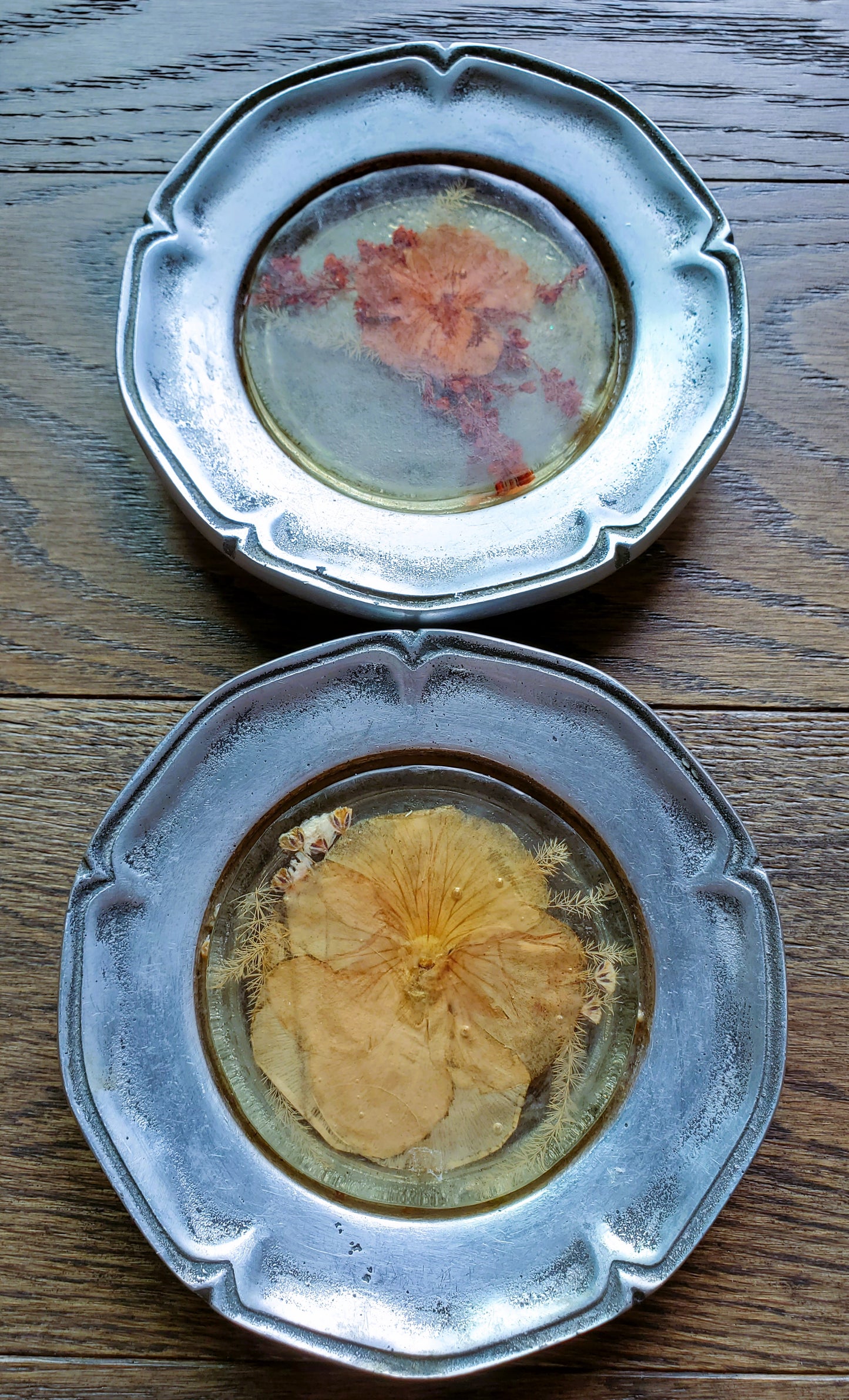 Vintage Pressed Flowers In Lucite Or Acrylic And Metal Coasters Set Of Two