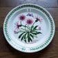 Portmeirion The Botanical Garden 1972 Shallow Bowl Or Plate Treasure Flower England