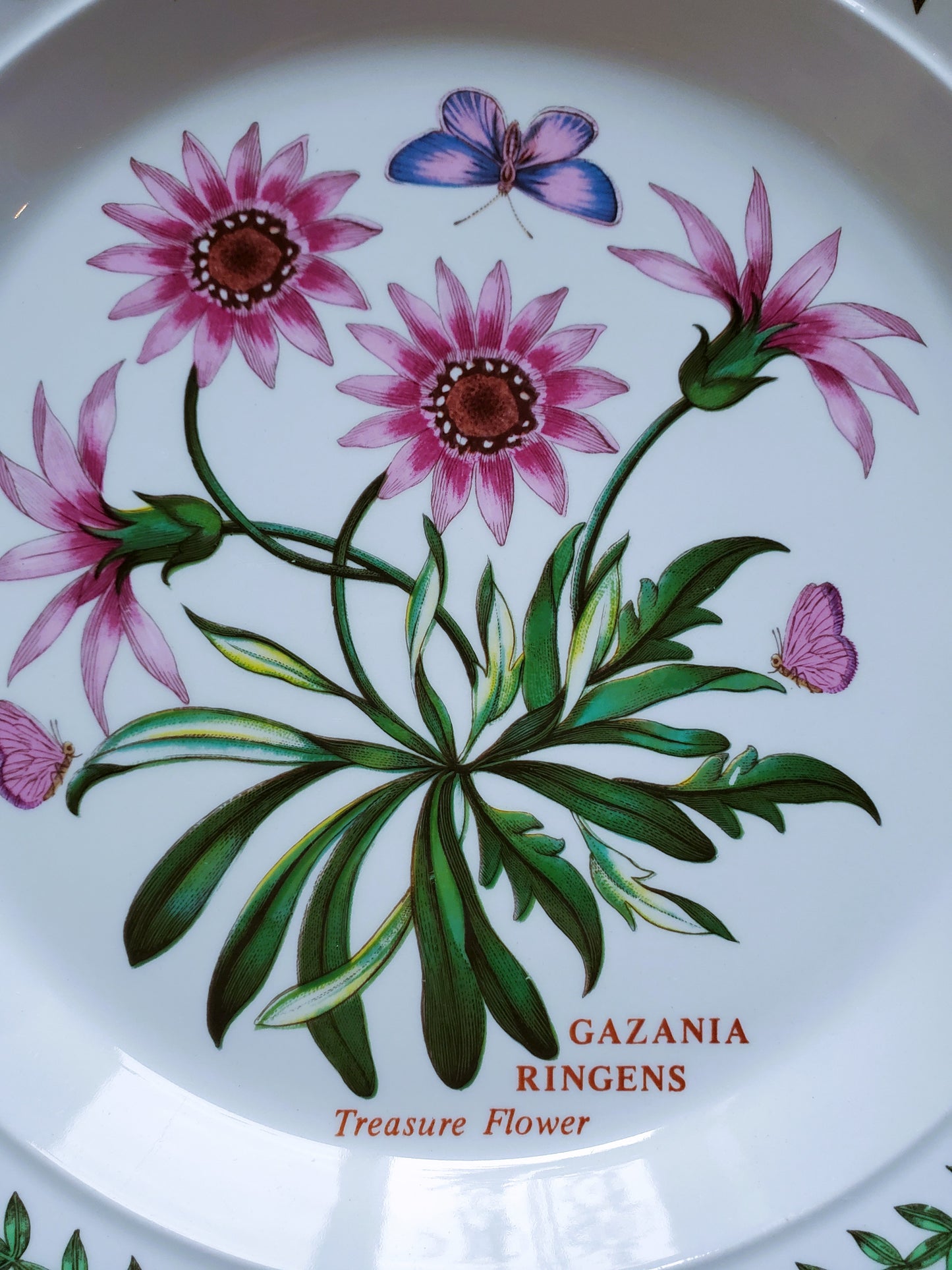 Portmeirion The Botanical Garden 1972 Shallow Bowl Or Plate Treasure Flower England