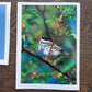 Vintage Salmo Trutti Post Cards Postcards Birds John Heidecker Photos Unused Set of 6