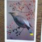 Vintage Salmo Trutti Post Cards Postcards Birds John Heidecker Photos Unused Set of 6